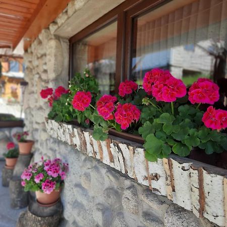 Ferienwohnung U Bobakow Murzasichle Exterior foto